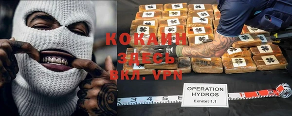 твердый Аркадак